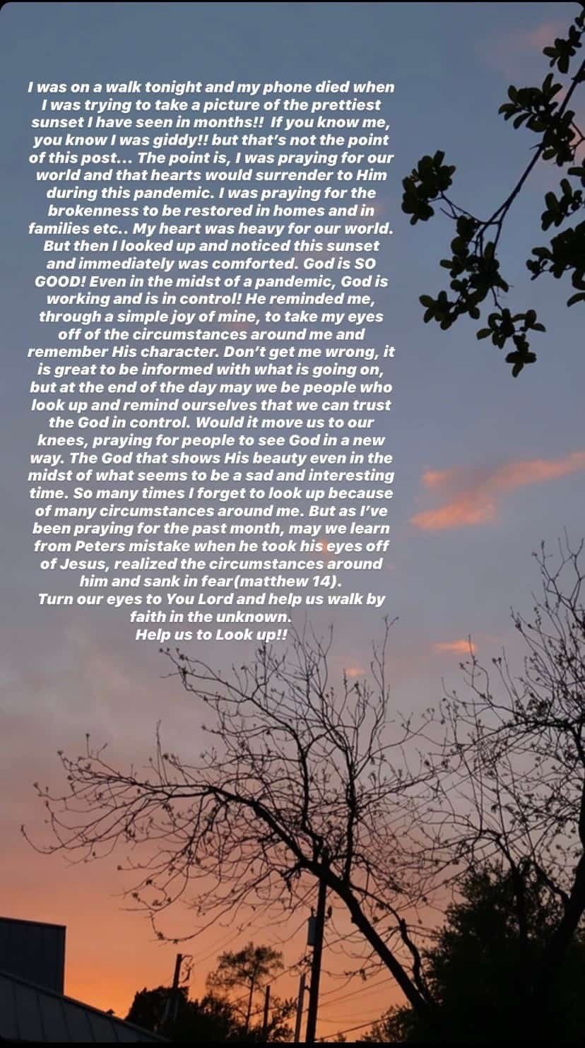 A silhouette of trees and the top of a house at sunrise.