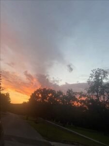 A sunset with a street and trees.
