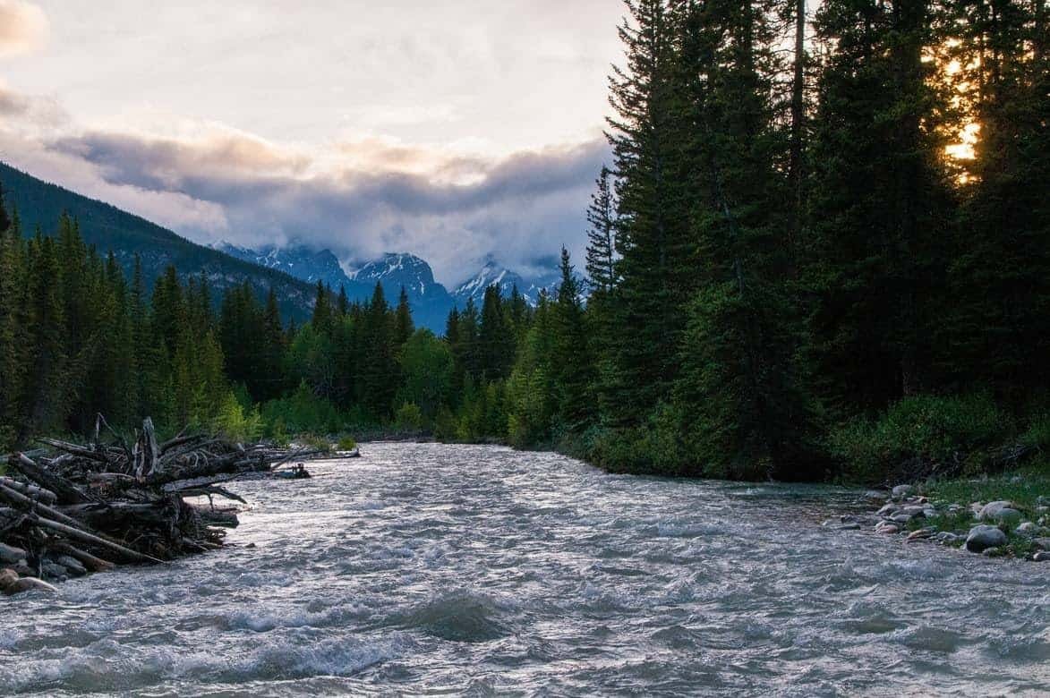 A river with mountains and trees.