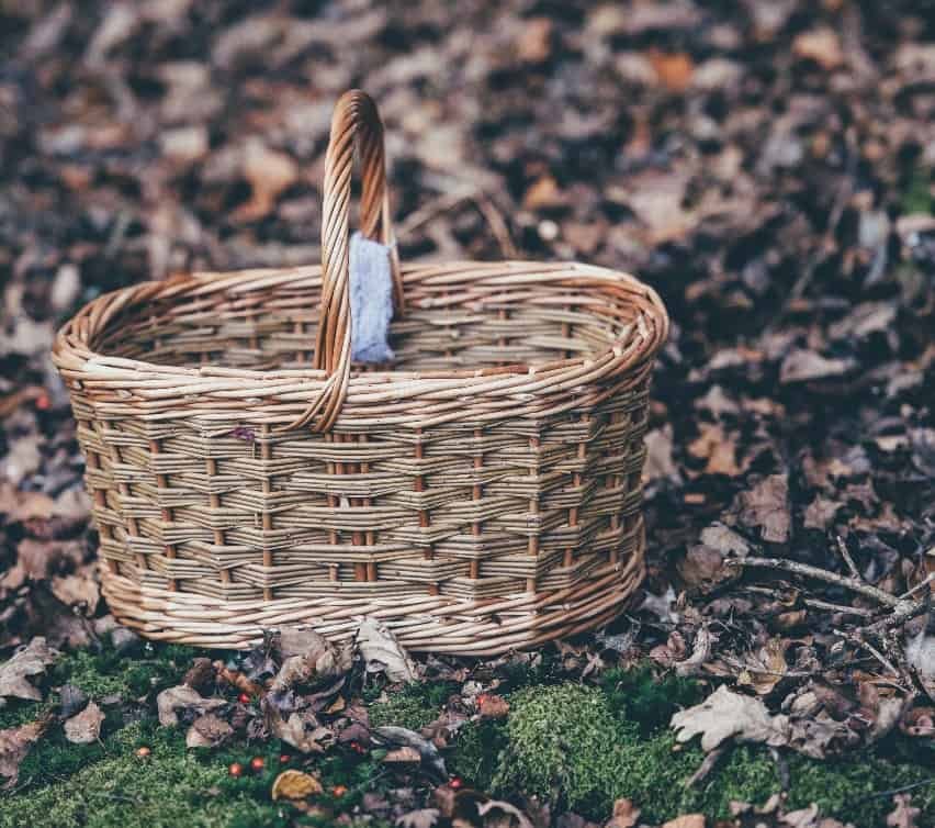 A basket sitting on the ground.